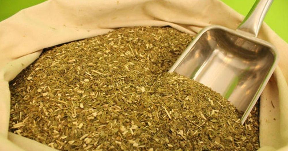 Desmienten que una reconocida marca de yerba esteacute envenenada