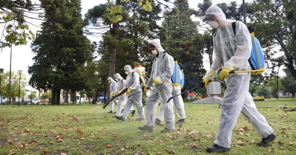 Dengue- son 80 los casos confirmados en la provincia y ya hay circulacioacuten comunitaria