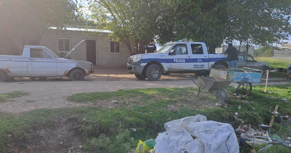 Personal policial encontroacute a nueve caballos que habiacutean sido robados