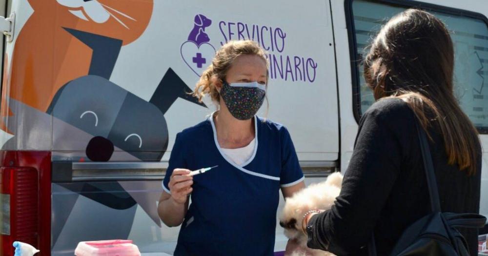 Vuelve la vacunacioacuten antirraacutebica en el Paseo de la Salud