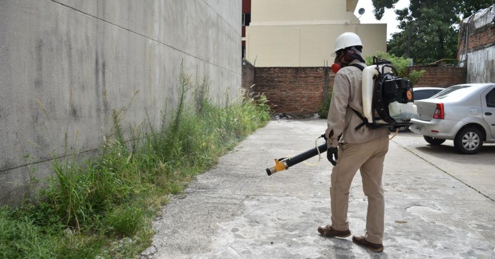 Se duplicaron los casos de dengue autoacutectono en la provincia y crecen las notificaciones en el interior