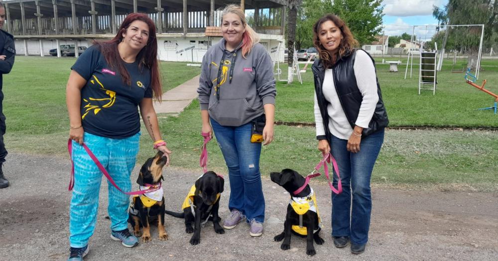 Internos de la Unidad 27 de Sierra Chica se suman al proyecto de adiestrar perros de asistencia