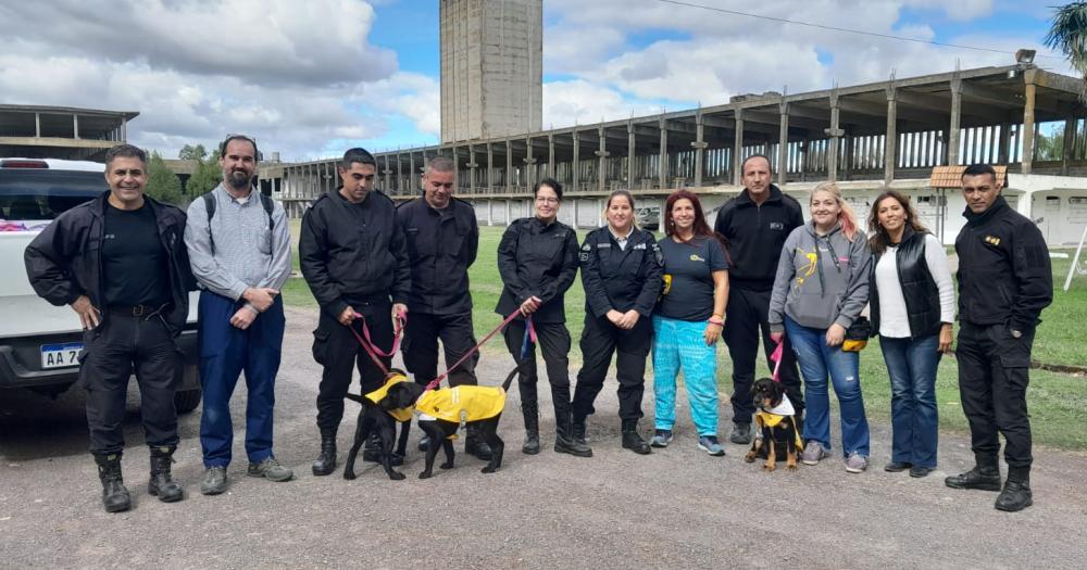 Internos de la Unidad 27 de Sierra Chica se suman al proyecto de adiestrar perros de asistencia