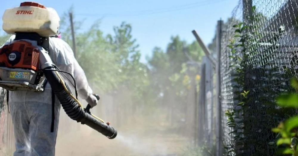 Por condiciones climaacuteticas el bloqueo por dengue se postergoacute para el jueves