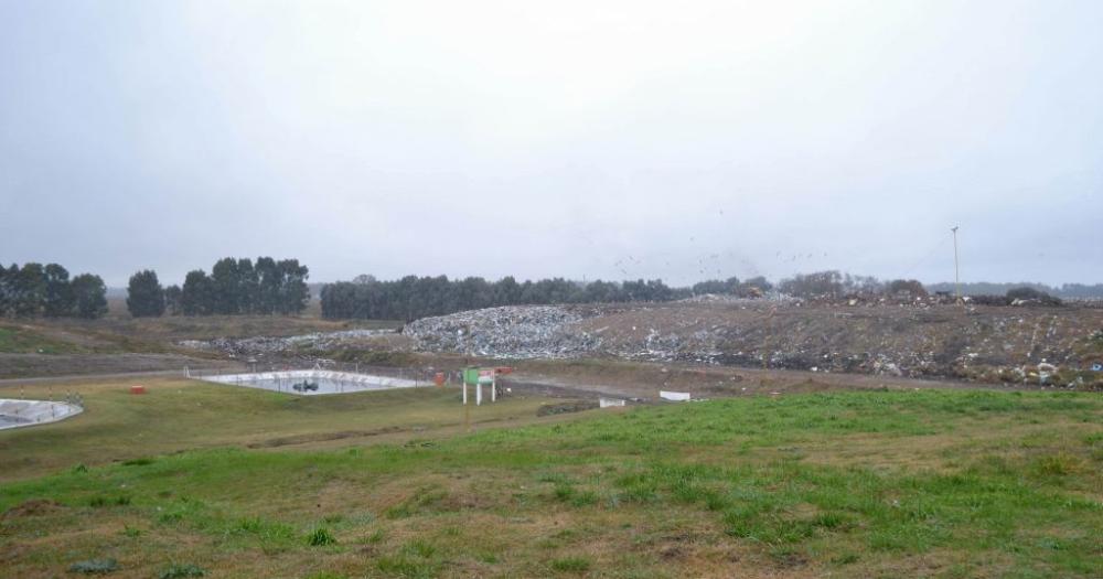 Se licitoacute la operacioacuten de las plantas de clasificacioacuten de residuos y de compostaje