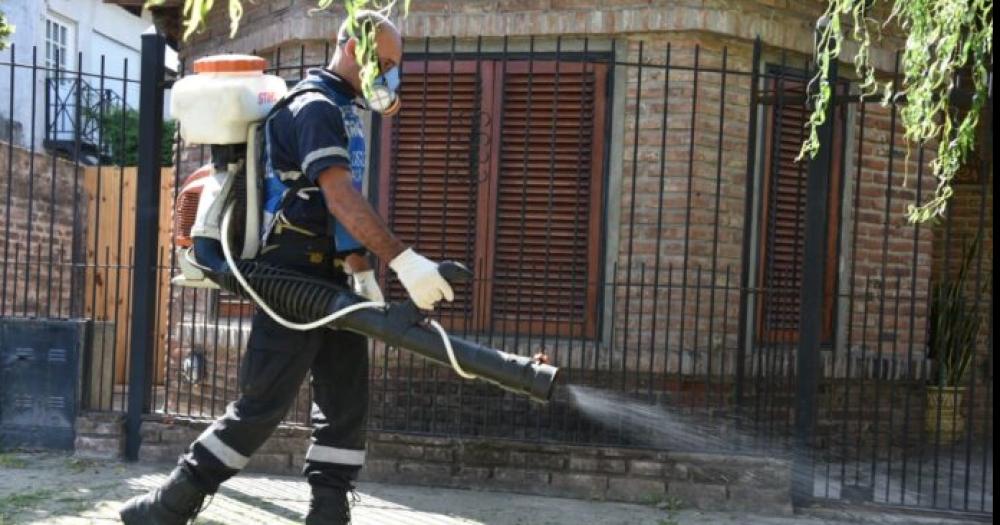 Siguen en descenso los casos de dengue en todo el paiacutes