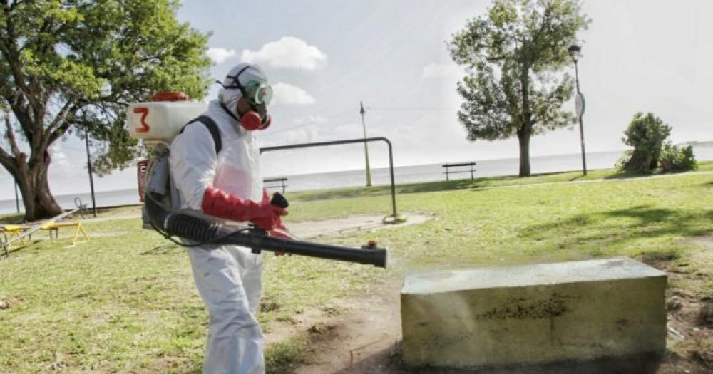 Dengue- ya se registraron casi 6 mil casos en la provincia