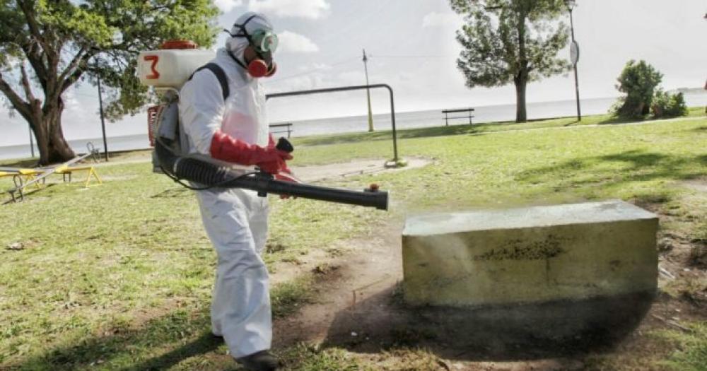 La provincia de Buenos Aires ya registra maacutes de 6 mil casos de dengue