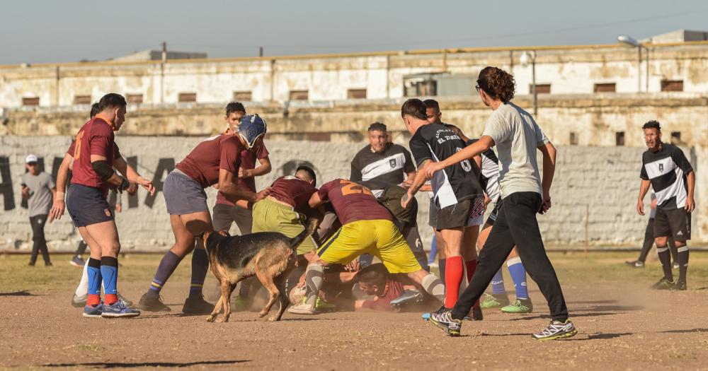 Catriel Rugby de la Unidad 2 recibioacute a los Rubiacutees de la Unidad 30 de Alvear