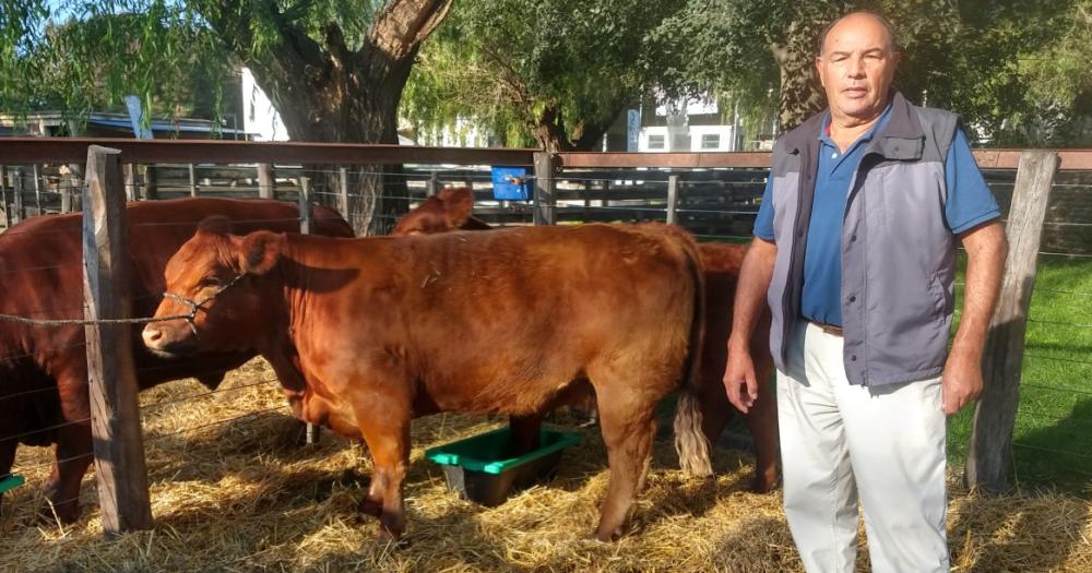 Leo Hernaacutendez- se la jugoacute apostoacute por Limangus y ya ganoacute 4 veces en la miacutetica arena de Palermo