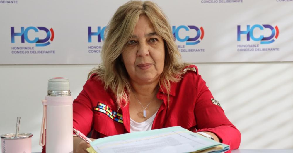 Convocaron a una sesioacuten especial en el HCD para tratar la Rendicioacuten de Cuentas 