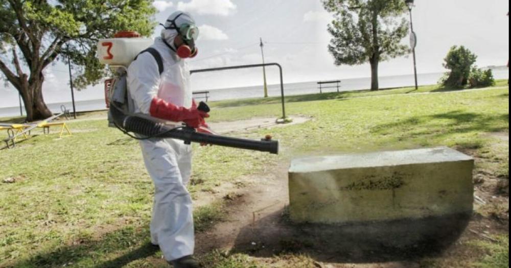 Siguen descendiendo los casos de dengue en territorio bonaerense