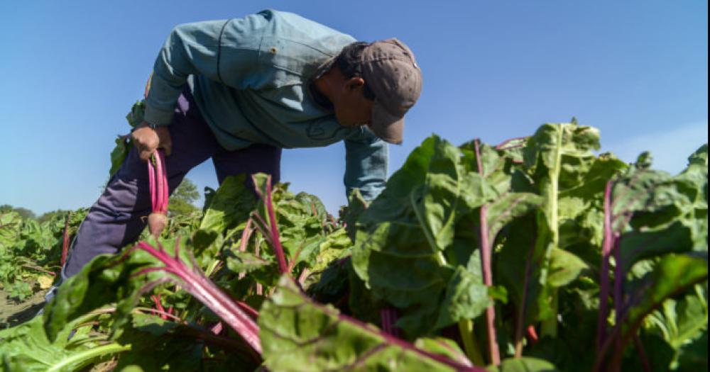 Habilitan la entrega de tierras estatales a productores de la agricultura familiar