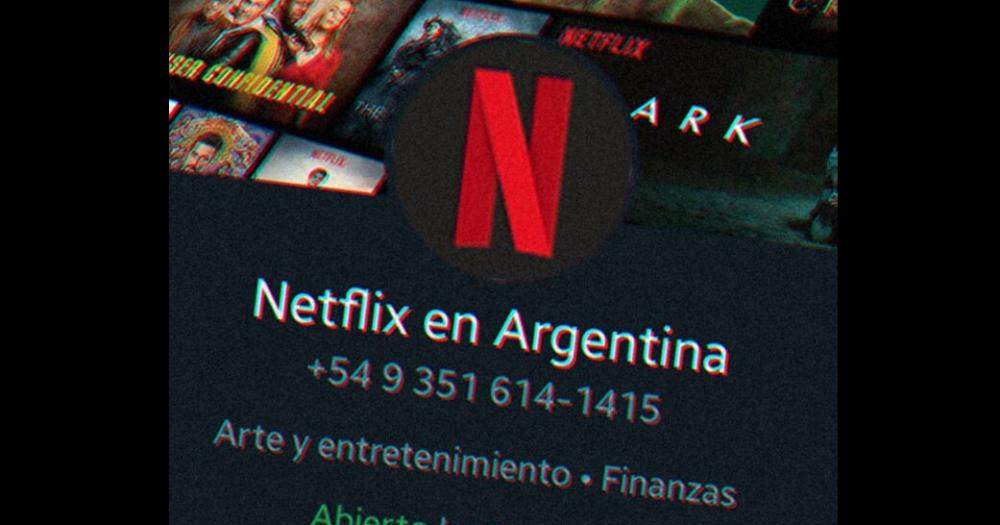 Estafan a una vecina de Coronel Suaacuterez hacieacutendose pasar por el servicio de ayuda de Netflix