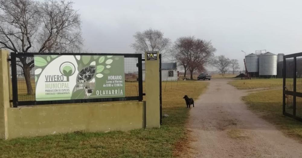 El Vivero Forestal Municipal renovoacute su habilitacioacuten 