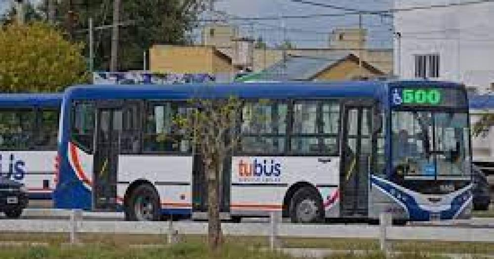 Transporte de colectivo gratuito el dia domingo 